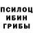 Галлюциногенные грибы мухоморы Gacha_ Fox