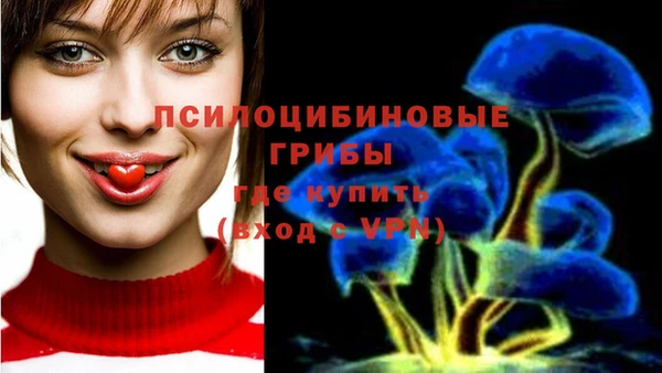 spice Алзамай