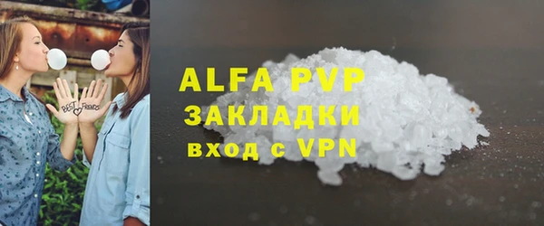 прущие грибы Покачи
