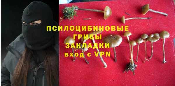 spice Алексин