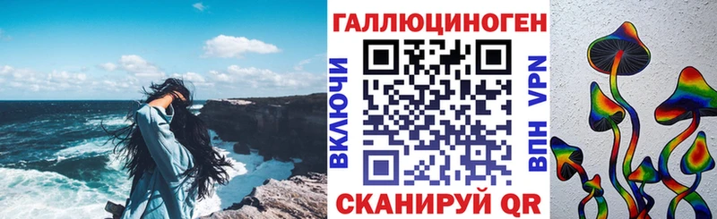 наркошоп  Карачаевск  Псилоцибиновые грибы Psilocybine cubensis 