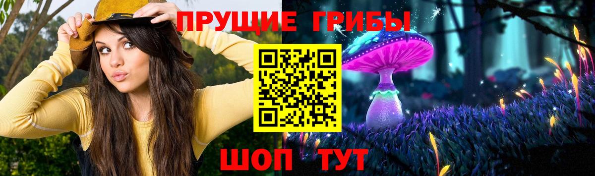 Галлюциногенные грибы Cubensis  Псилоцибиновые грибы мухоморы  Вход с VPN  Карачаевск 